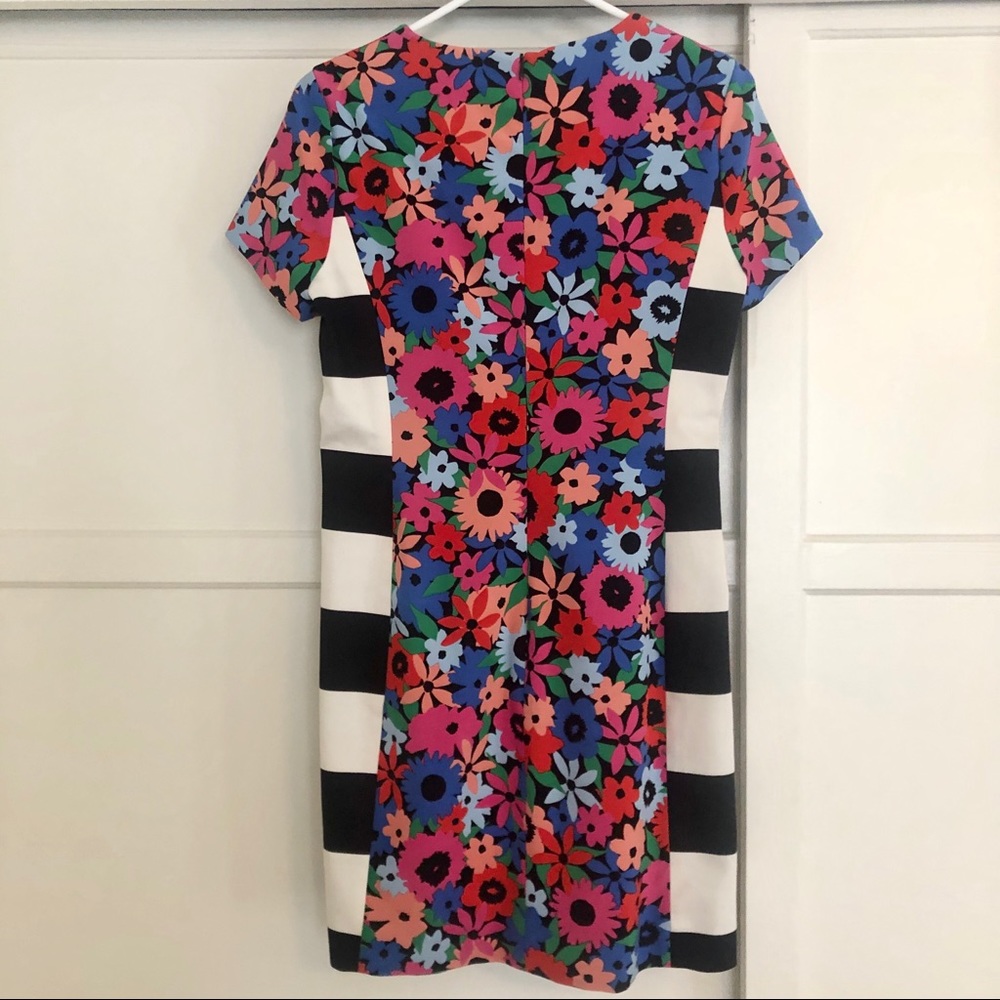 Alex + Alex Mod Mixed-Pattern Shift Dress - 2 - image 4